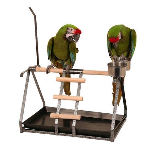 Prorot Plott PlayStand Bird ойын алаңы